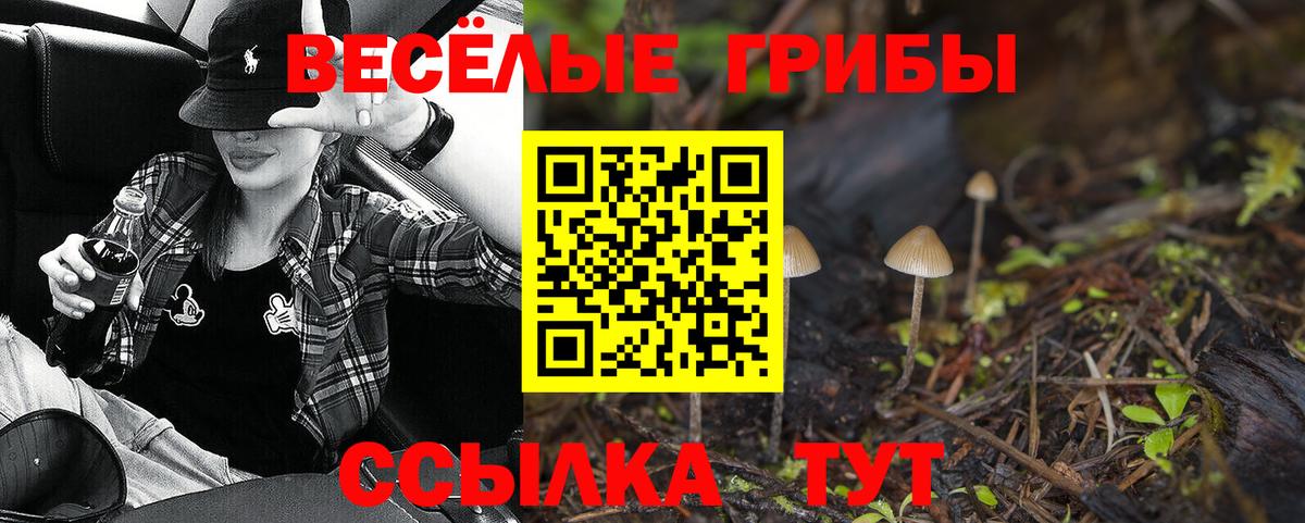 Октябрьский  Псилоцибиновые грибы мицелий  Псилоцибиновые грибы GOLDEN TEACHER  Вход с VPN 